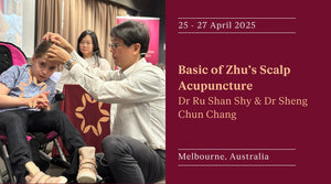 Basics Of Zhu's Scalp Acupuncture 2025