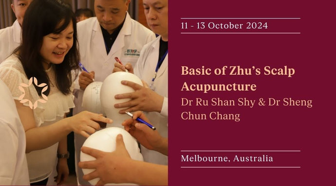 Basics Of Zhu's Scalp Acupuncture 2024