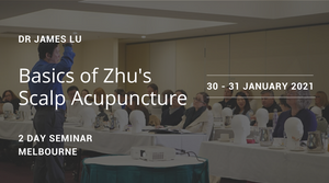 Basics of Zhu's Scalp Acupuncture 2021 | Balance Due